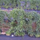 청계자동차공업사 이미지