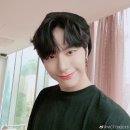 꽃잎담아 이미지