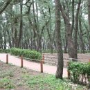 하슬라주유소 이미지