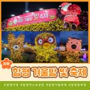 국화트리와 뽀로로 친구들이 있는 함평 겨울밤 빛 축제 방문후기 함평엑스포공원 크롱 루피 에디 포비 패티