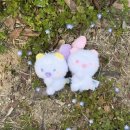 차엔(주) | 10년째 모임 중 : 대전에 가자(2)