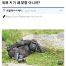 대일맨션(아), 금학 | 부동산 유튜버의 은밀한 비밀