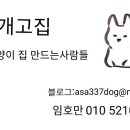 모야애견