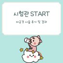 아이봄약국 | 시험관 #3 자궁경 시술 후기 및 결과(비용, 시간, 중격 제거, 선근증, 풍선 제거)
