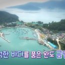 금일에스앤에프㈜ 네이버블로그