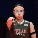 두리두채 이미지