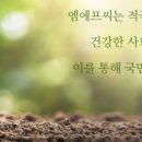 엠에프씨주식회사 이미지