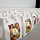 경희대 비앤비 태권도 이미지