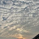 인투스배드민턴전용구장