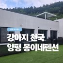 몽이네 | 강아지가 더 좋아한 펜션 | 양평몽이네펜션 후기