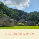 206 | 강원도 인제 갯골자연휴양림 숲속의 집 205호 206호 숙박 후기