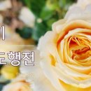 24. 8. 9(금) 룻기 2장, 사도행전 27장 이미지