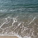 도일목장 이미지