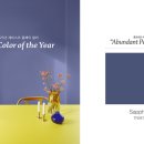 제비스코 이미지