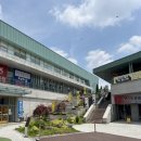 댕댕이푸드 이미지