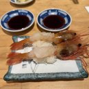 스시990 | 교토 현지인 스시 맛집 스시 사카바 사시스 강추 후기🍣