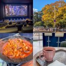 댕댕살롱 | 제주살이 주간일상 : 제주 롯데시네마 광음시네마 댕댕살롱 낙지와쭈꾸미