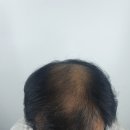 대한문신사중앙회인재개발원