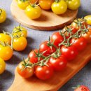 토마토마(tomatoma)