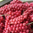 장생농장 이미지