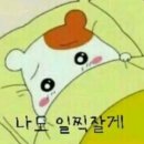 굿나잇
