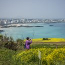 동산농장(2) 이미지