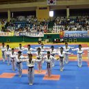 코리아타이거즈태권도 이미지