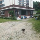 접시꽃민박 이미지