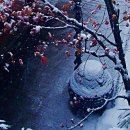 나무향기 한증막 이미지