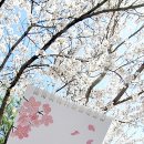 크로사이언스 이미지