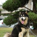 블랙엔화이트 이미지