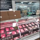 고기사랑수족관