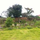 감성별당 이미지