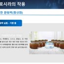 헬시루카