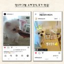 강아지 수제간식 닭 가슴살 안심살 돼지귀 보양식 불리스틱 비타민첨가 200g 300g