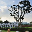 공원치안센터 이미지