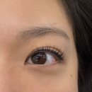 소이메디칼 | [운정 속눈썹] 소이아이 뷰티랩 - 자연스러운 속눈썹펌을 원한다면 대강추 후기