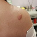 화순 미 의원 이미지