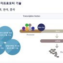 주식회사 보고바이오 이미지