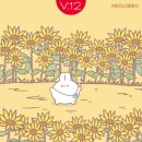 보다스페이스