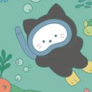 달다제주 소품샵 네이버블로그