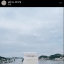 오동상회