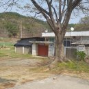 대지-생명 이미지