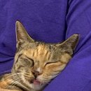 그루밍 루니 이미지