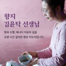 향지 - 강남구 | 향지