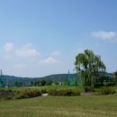 피닉스 골프 클럽 이미지