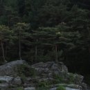 진산목장 이미지