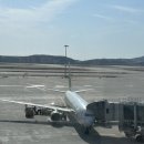 349 | [기타큐슈 여행] 진에어 탑승 후기 LJ349, LJ350