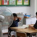 영춘초 의풍분교 이미지