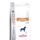 문정힐스동물병원 이미지